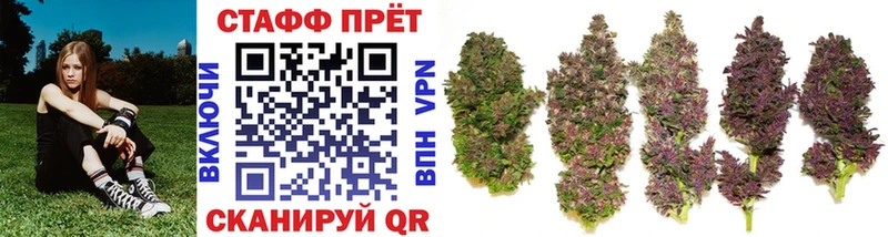 Где продают наркотики Сим Канабис Меф СК Гашиш