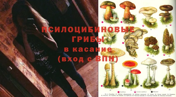 не бодяженный Елизово